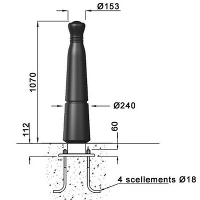 P-borne-aldus.jpg#asset:9135