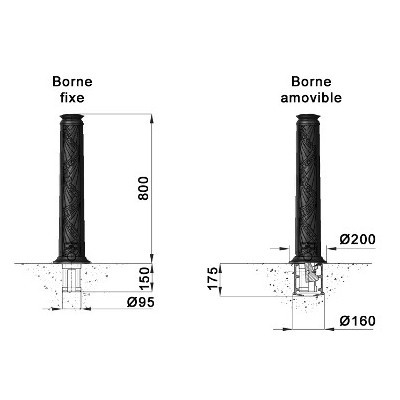 P-borne-evolution.jpg#asset:9147