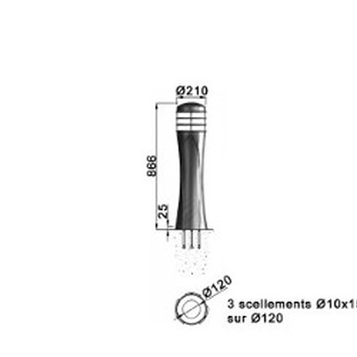 P-borne-flore.jpg#asset:9370