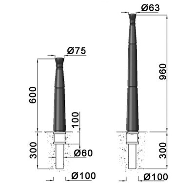 P-potelet-aldus-fixe.jpg#asset:9222