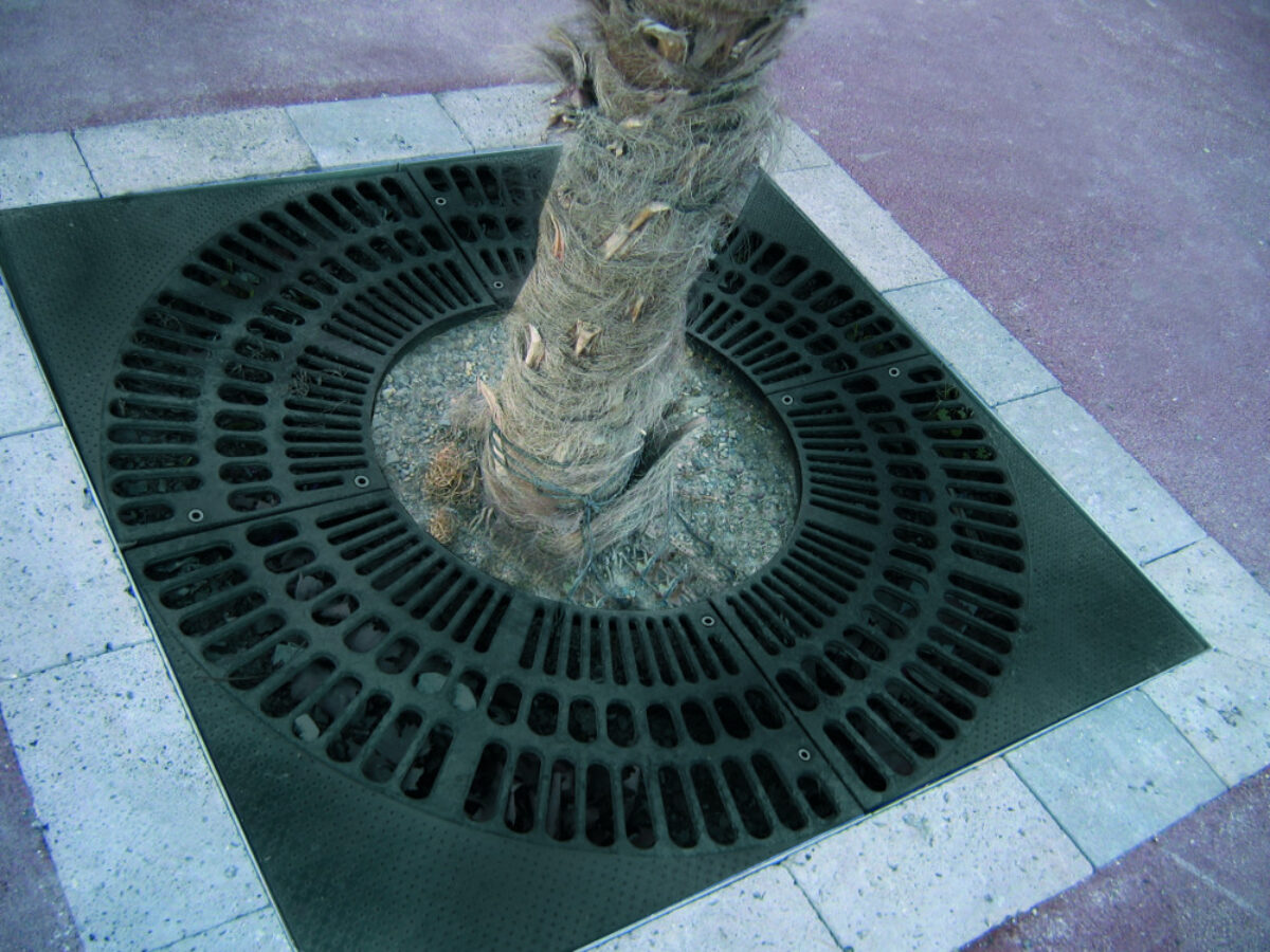 Im Grille Arbre Agora Carree 2
