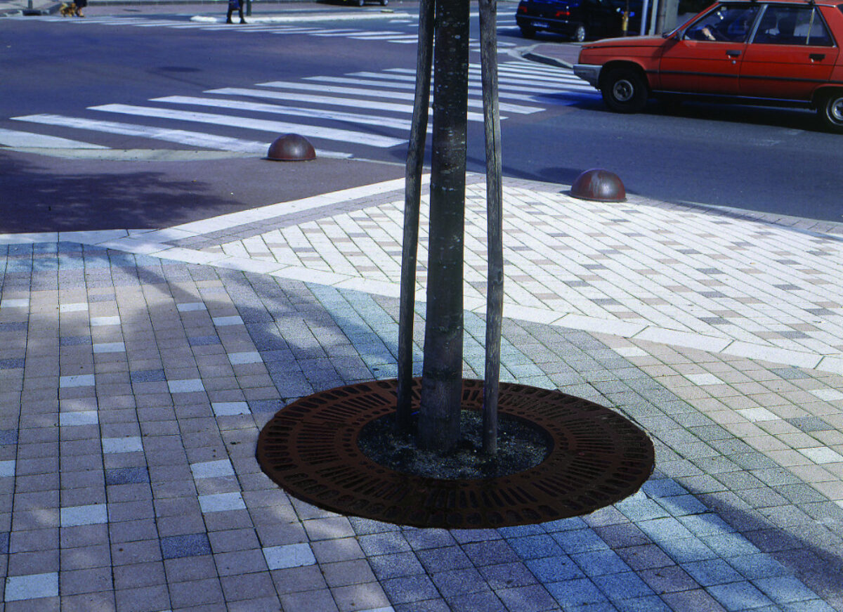 Im Grille Arbre Agora Ronde 1