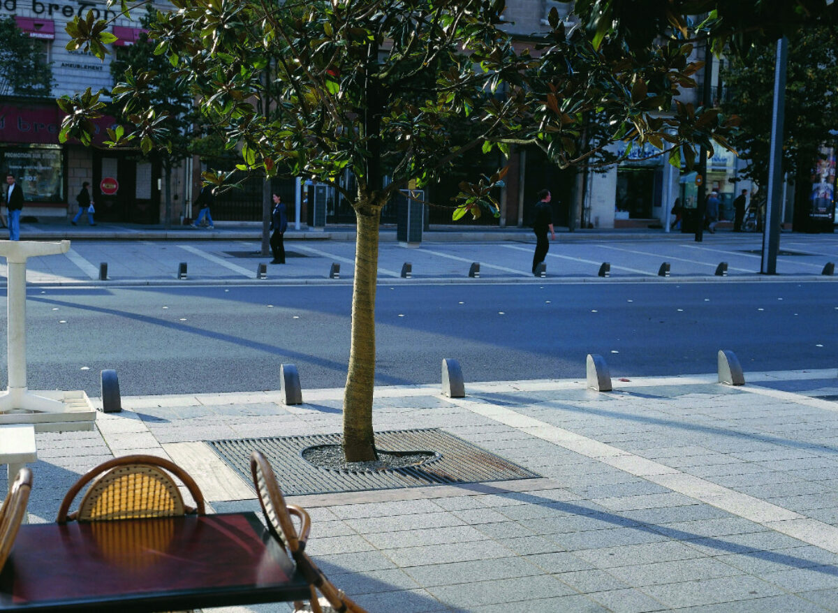 Im Grille Arbre Metropole 1