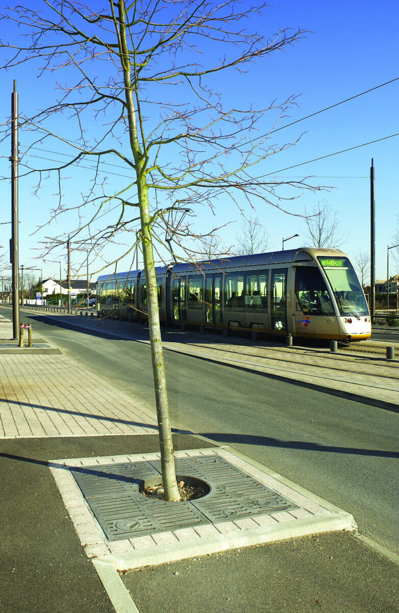 Im Grille Arbre Orleane 1500 1