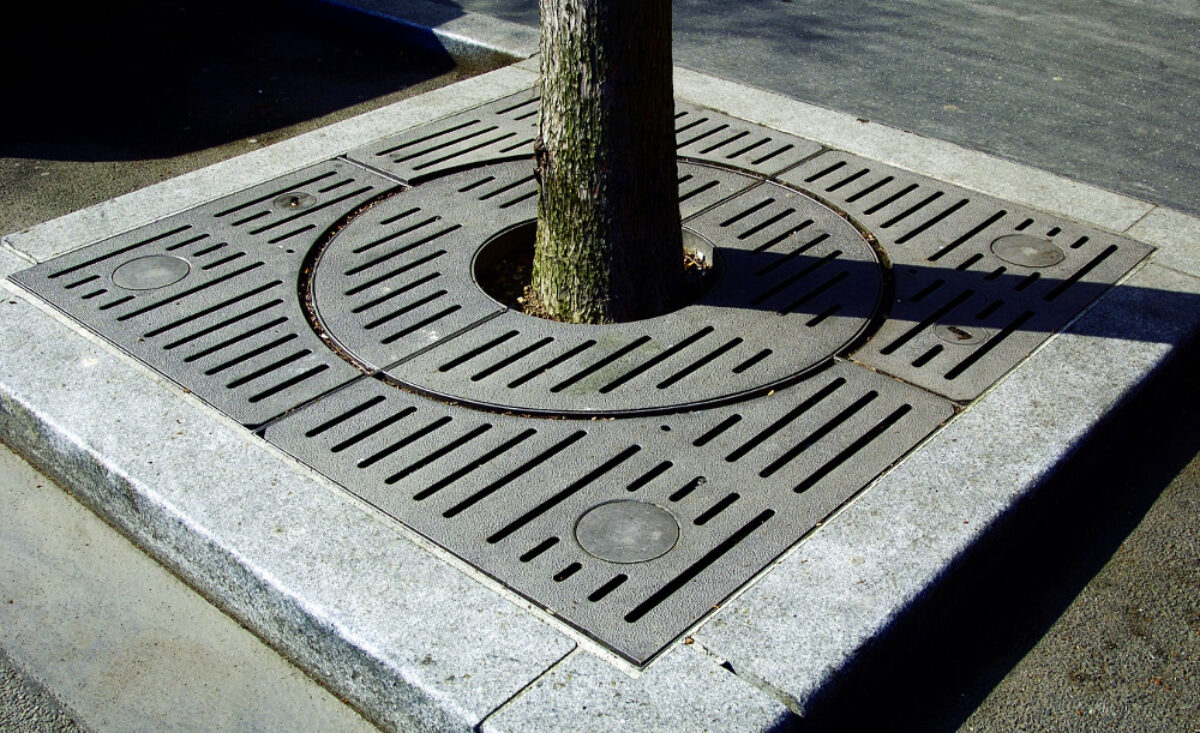 Im Grille Arbre Orleane 1800 2