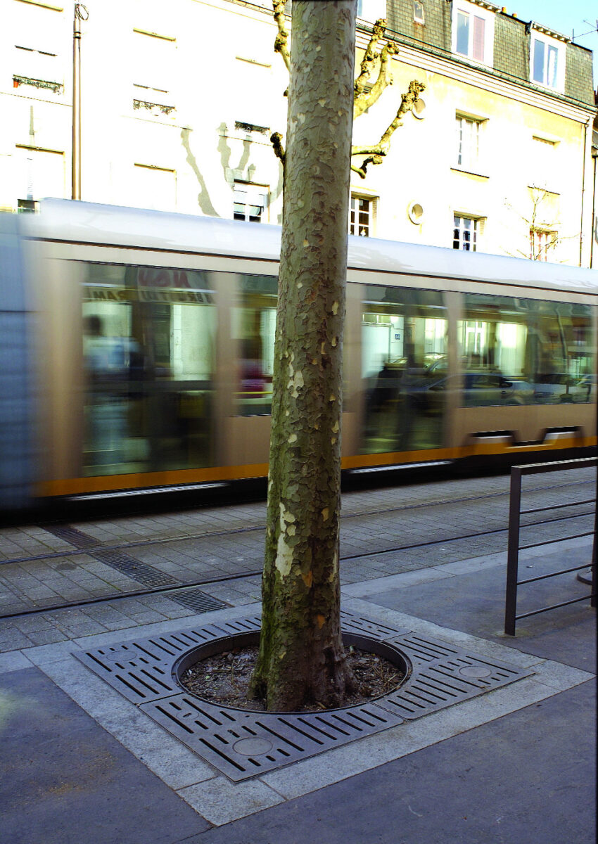 Im Grille Arbre Orleane 1800 3