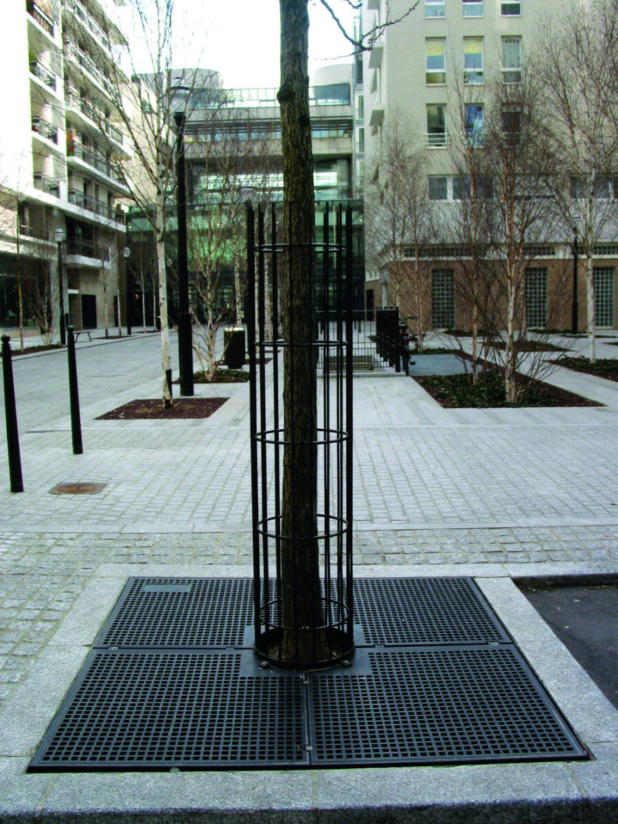 Im Grille Arbre Quadrille 1