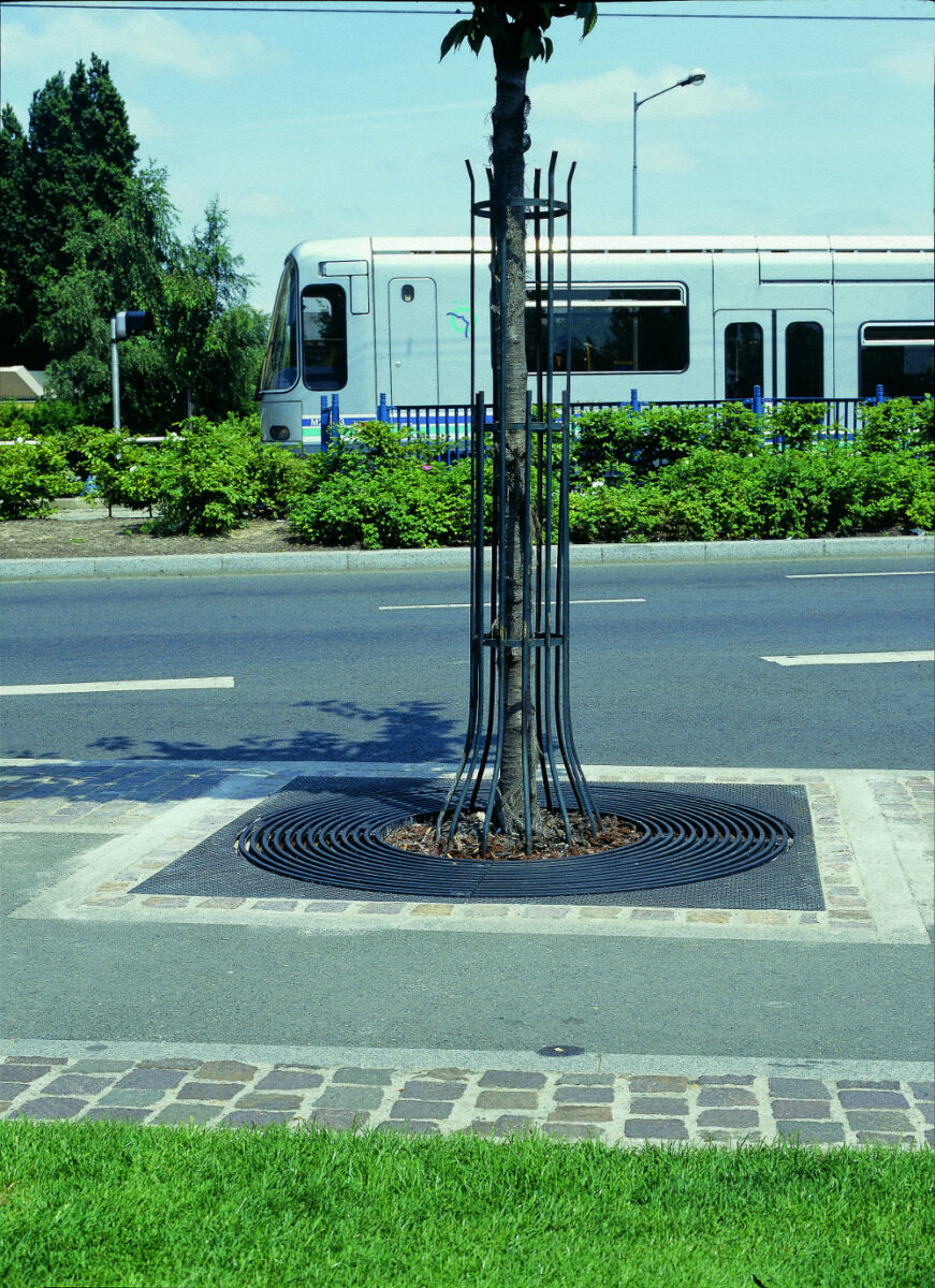 Im Grille Arbre St Denis Carree 1